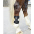 Arc Equine Therapy System